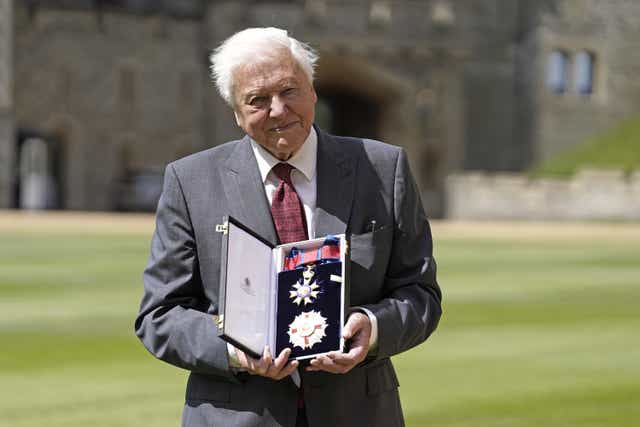 <p>The broadcaster with his Knight Grand Cross of the Order of St Michael and St George</p>