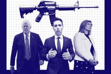 ‘Shoot cans and stuff’: GOP senators with gun control in their hands reveal whether they own or have shot an AR-15
