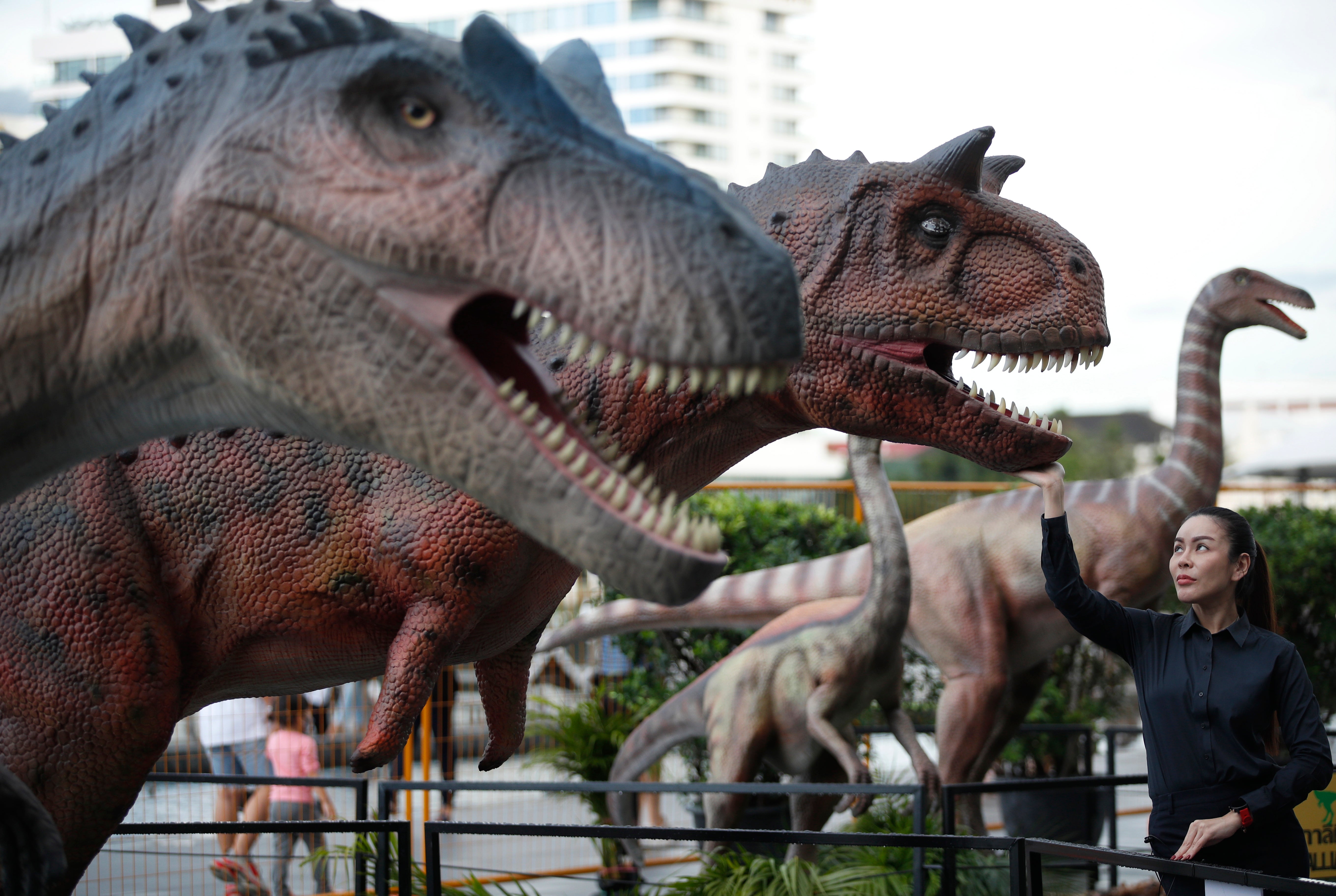 A woman touches the stub of a life-size robotic dinosaur presented at the Iconic Jurassic Adventure dinosaurs exhibit in Bangkok, Thailand