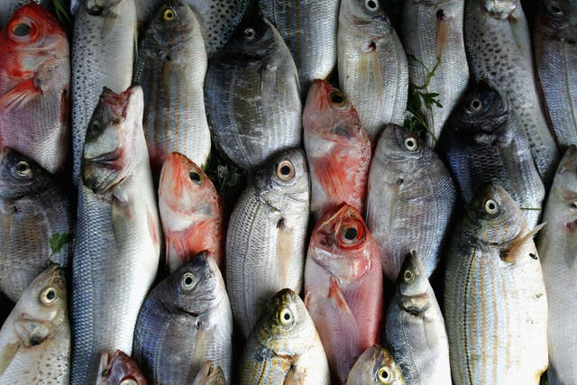 <p>The results suggested “a higher intake of non-fried fish and tuna is associated with melanoma” </p>