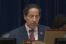 Rep Jamie Raskin compares US to ancient civilisations that ‘practiced human sacrifice’ in gun violence hearings