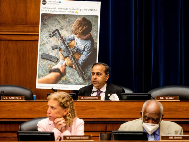 <p>Representative Raja Krishnamoorthi (D-IL), speaks during a House Committee on Oversight and Reform hearing on gun violence on Capitol Hill in Washington, U.S. June 8, 2022</p>