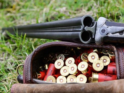 A gun and cartridges