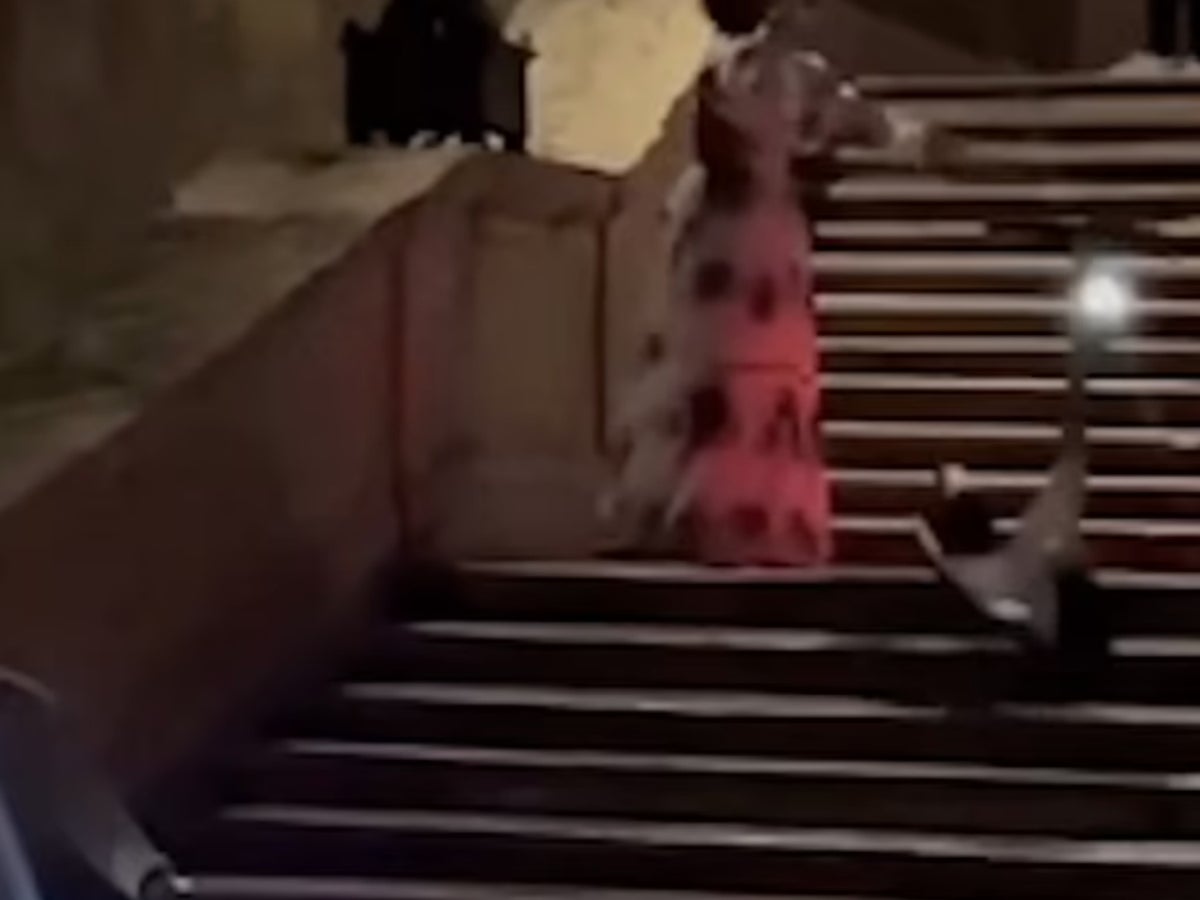 Amerikalı turist, e-scooter ile 26.000 $ hasara neden olduktan sonra Roma'nın İspanyol Merdivenleri'nden ömür boyu men edildi
