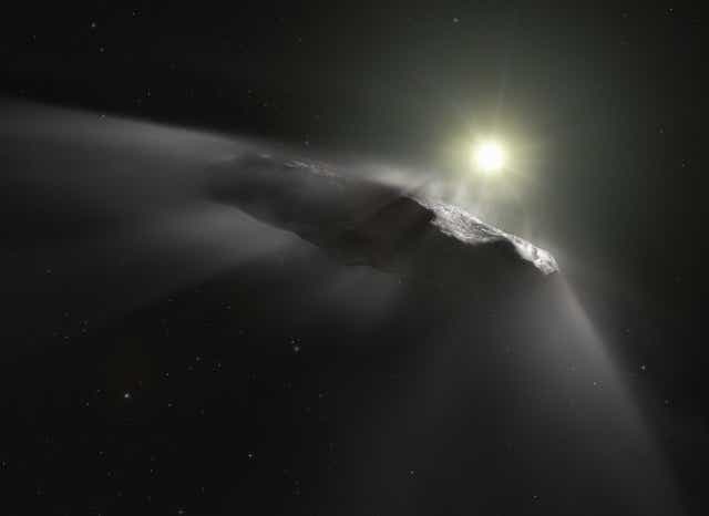 <p>An artist’s impression of the extrasolar object, which passed near the Sun in 2017</p>