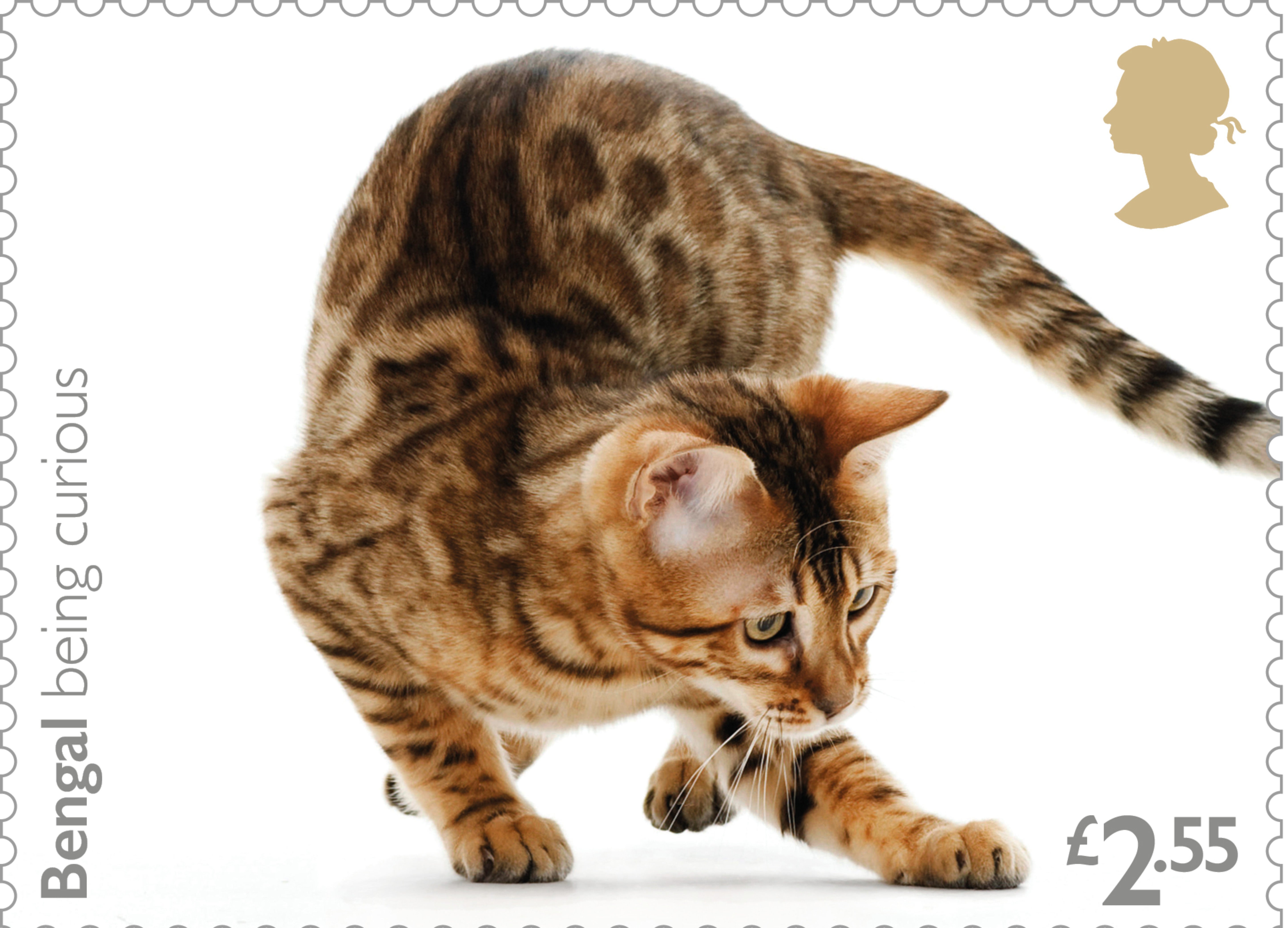 A new set of stamps features cats (Royal Mail/PA)