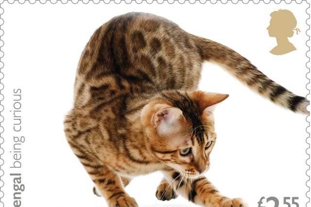 A new set of stamps features cats (Royal Mail/PA)