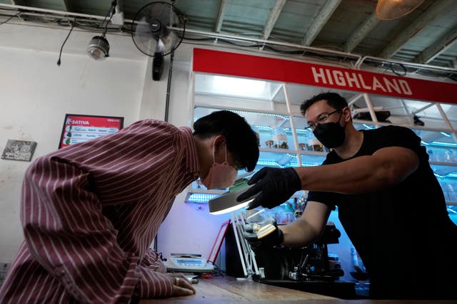 <p>A customer views samples of marijuana before purchasing it at the Highland Cafe in Bangkok</p>