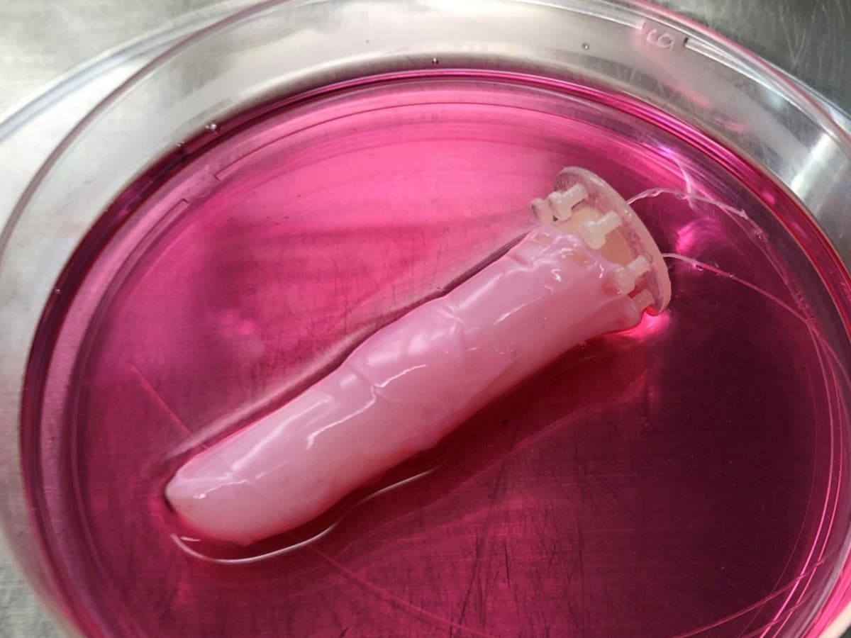 Japanese scientists develop ‘Terminator’-style robotic fingers Japanese scientists develop ‘Terminator’-style robotic fingers