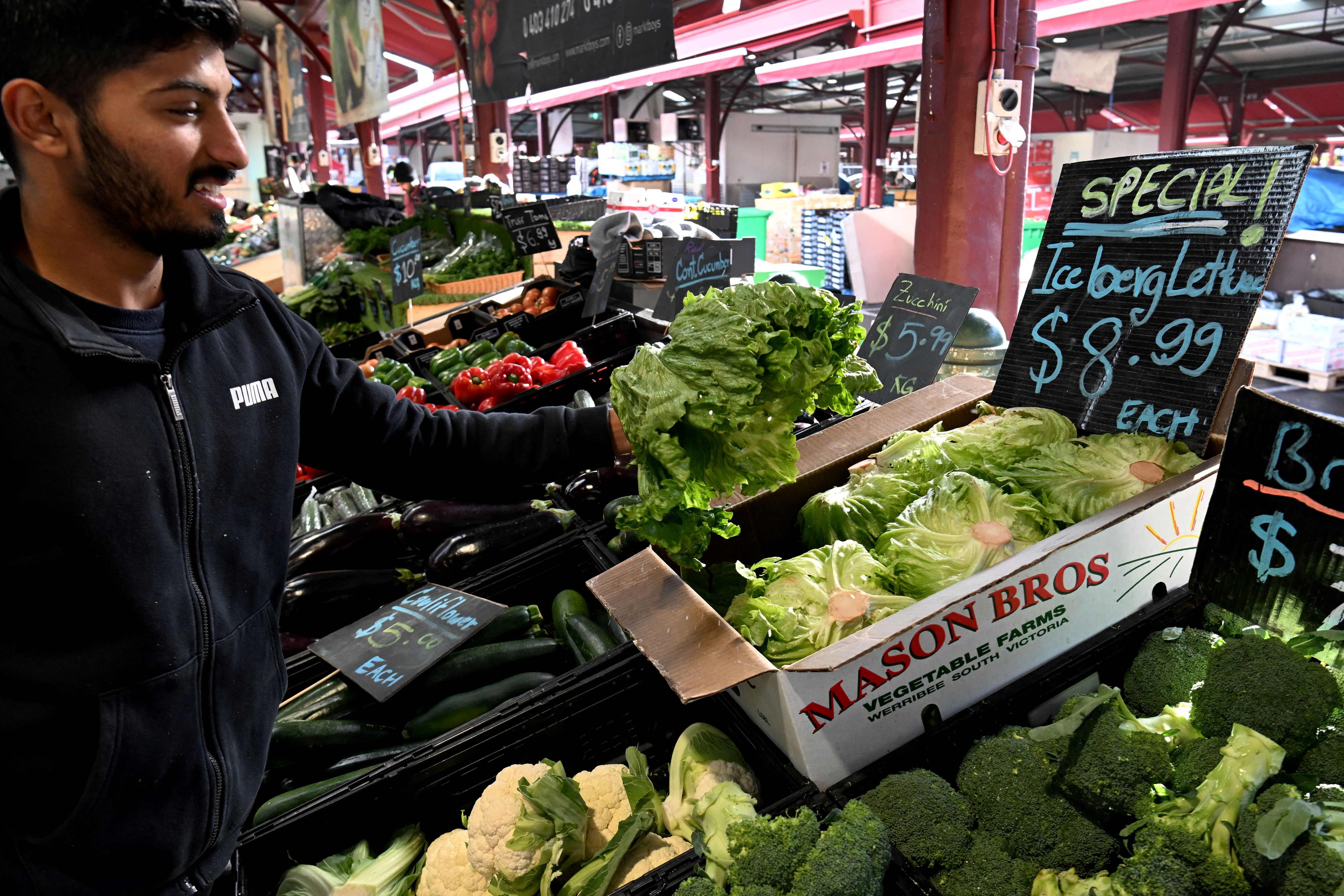 Iceberg lettuce on display in Melbourne