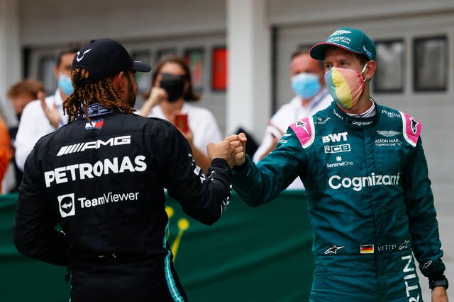 <p>Vettel has questioned Hamilton’s excitement for F1 </p>