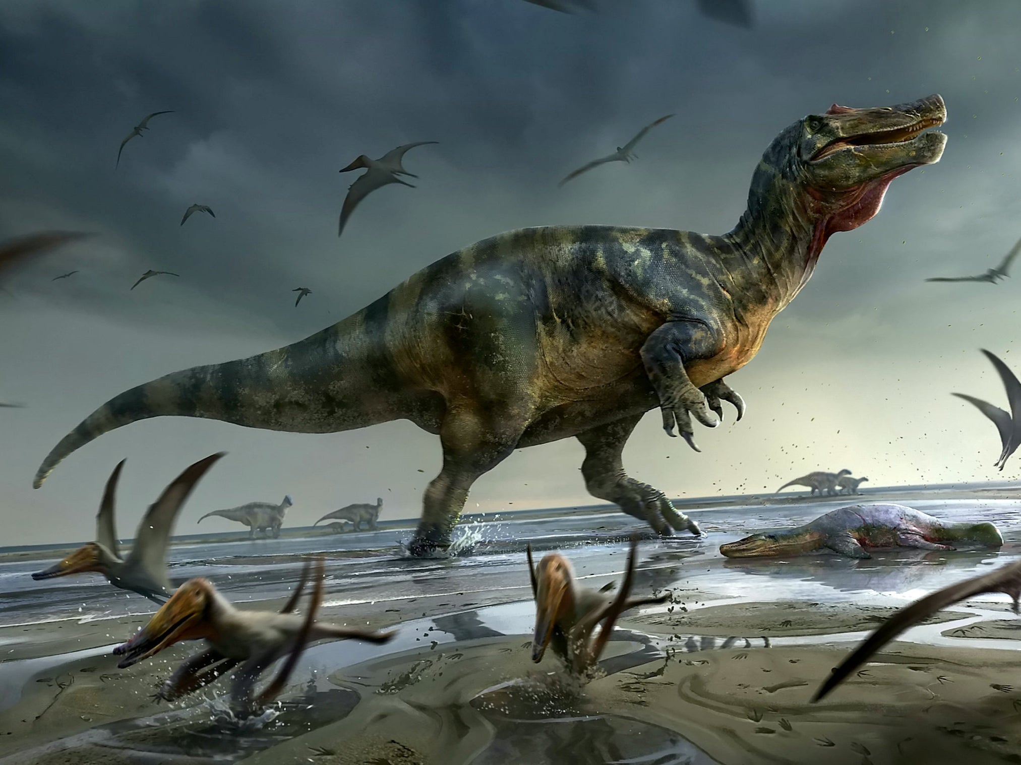 Massive creature had a face like a crocodile, razor-sharp teeth and claws and a whip-like tail, experts say