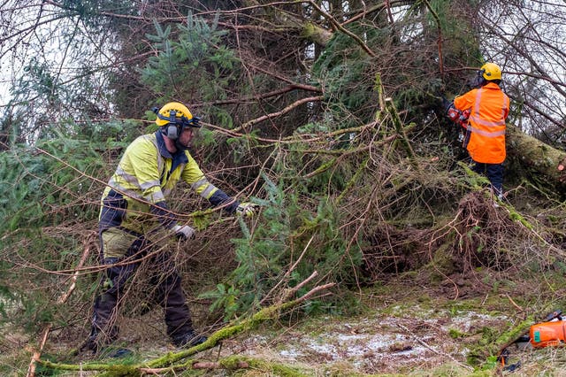 Scottish and Southern Electricity Networks teams working to reconnect homes after Storm Arwen (SSEN/PA)