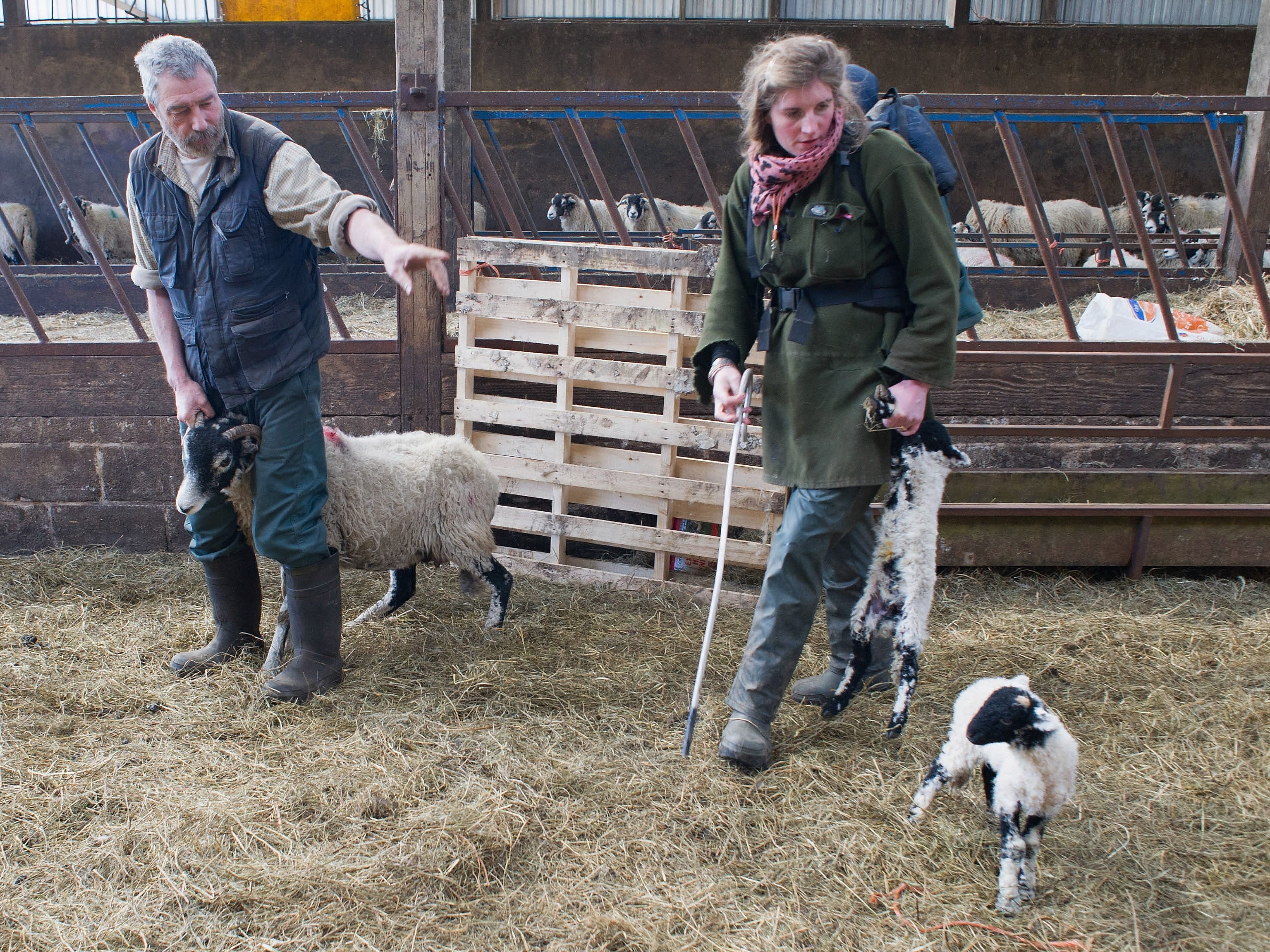 Amanda Owen and husband Clive, who have nine children, rose to fame through the Channel 5 show which follows their life on Ravenseat Farm