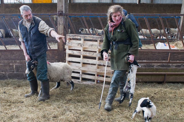 <p>Amanda Owen and husband Clive, who have nine children, rose to fame through the Channel 5 show which follows their life on Ravenseat Farm</p>