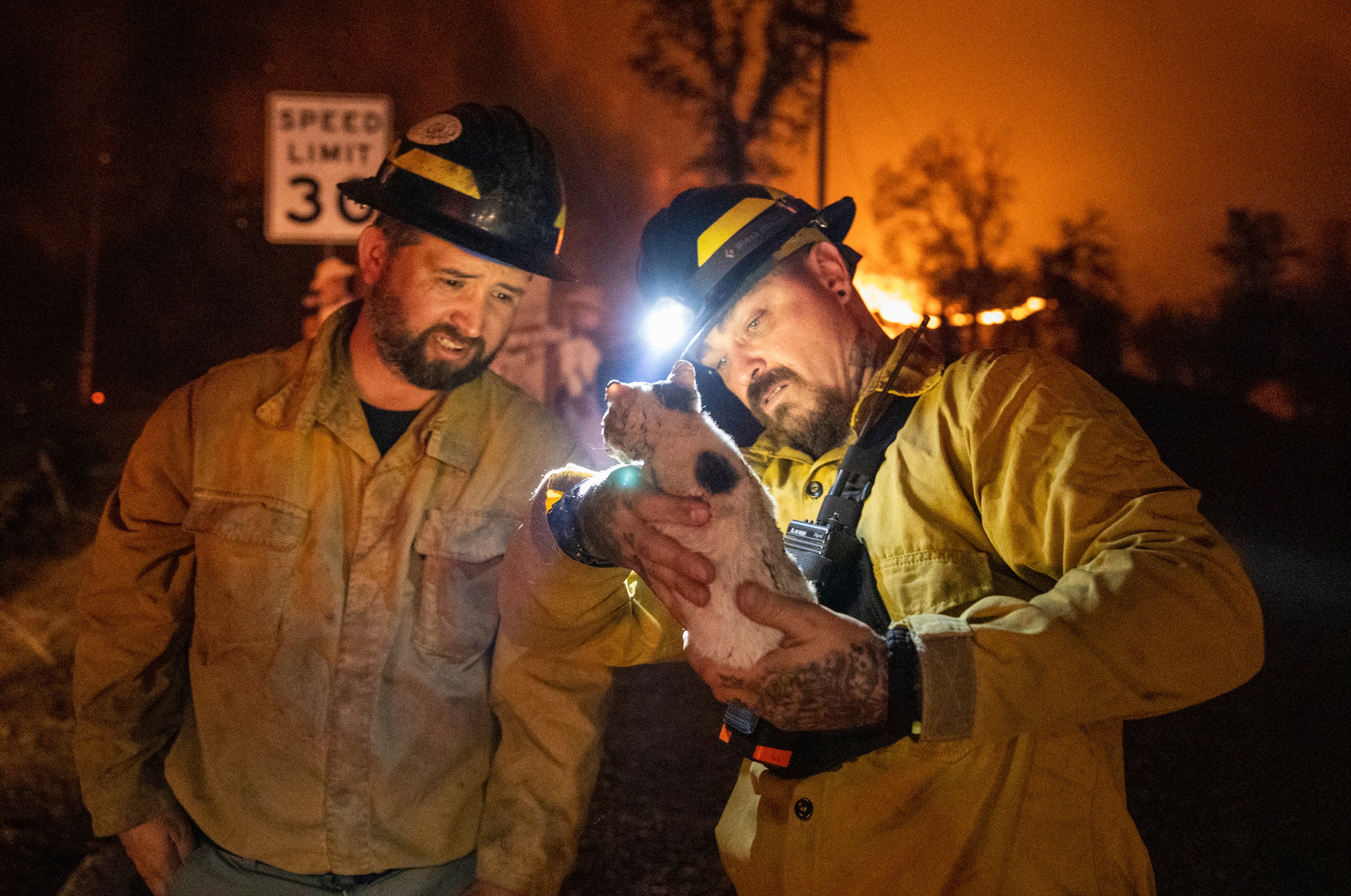 California Wildfire Utility Charged