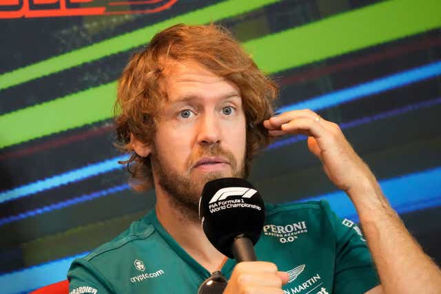 <p>Sebastian Vettel is a keen activist (Sergei Grits/AP)</p>