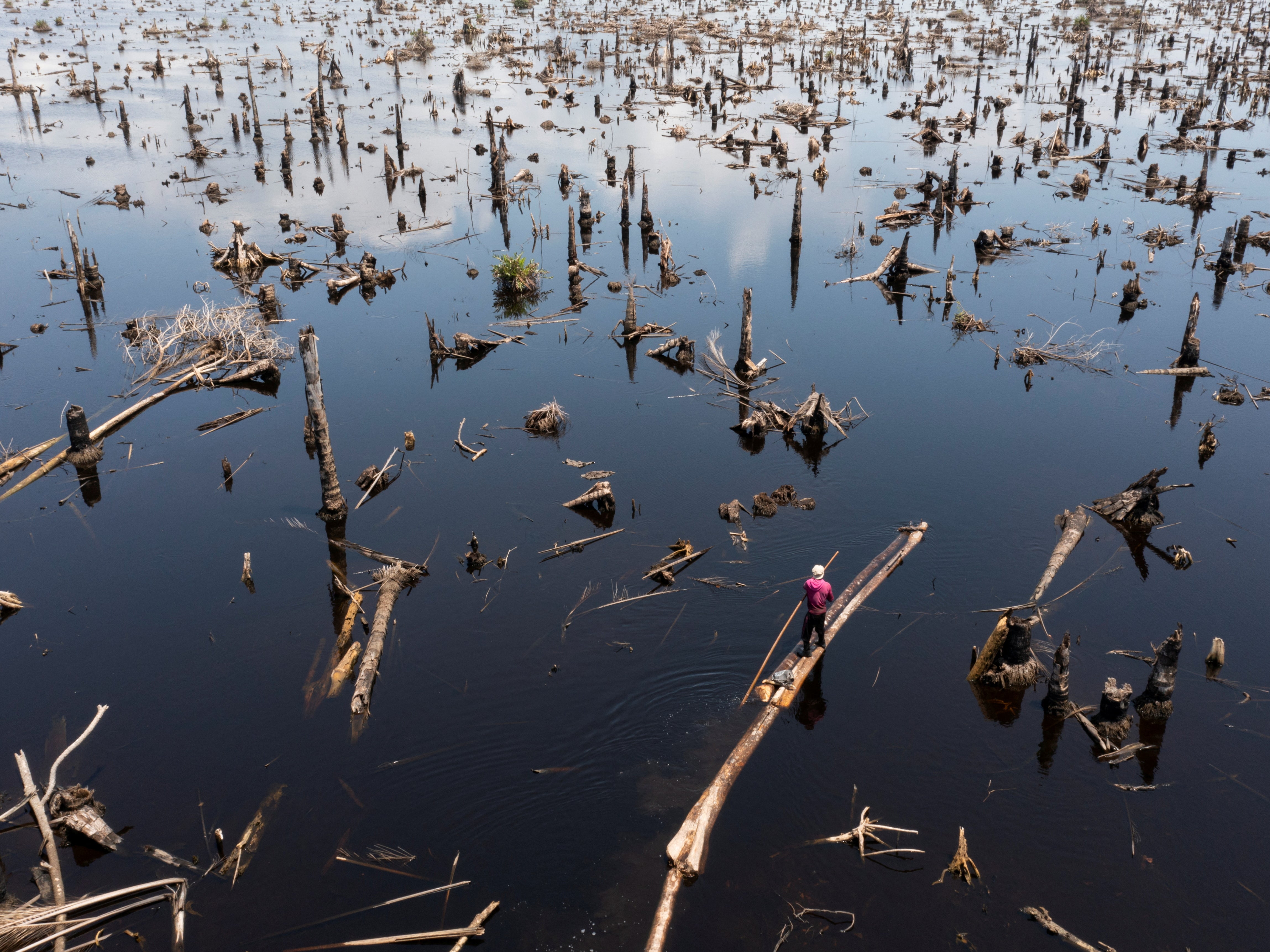 Egbontoluwa Marigi paddles his logs out of the flooded forest floor onto the river in Ipare, Ondo state, Nigeria