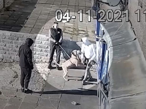 CCTV footage shows ‘Beast’ lunging at strangers before fatal attack took place