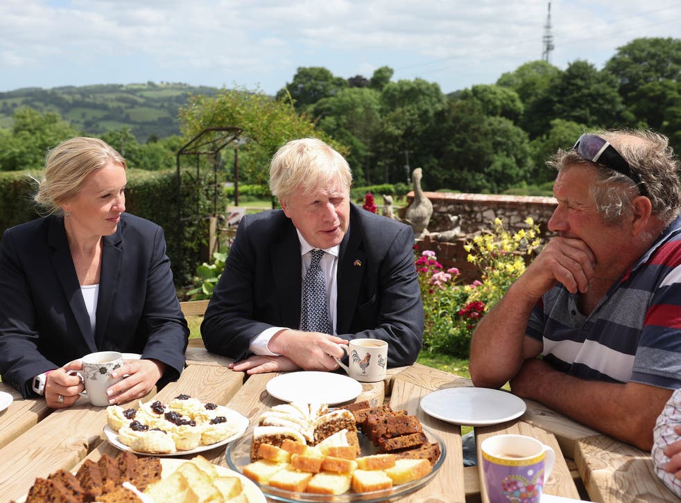 <p>Boris Johnson at Ditchetts Farm in Tiverton and Honiton</p>