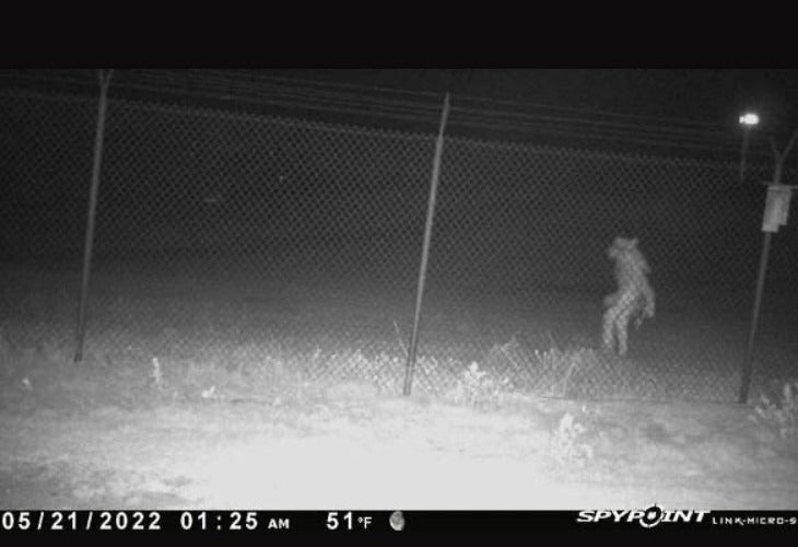 Photographs of a weird and unidentified figure just outside a Texas city’s zoo have left officials bemused