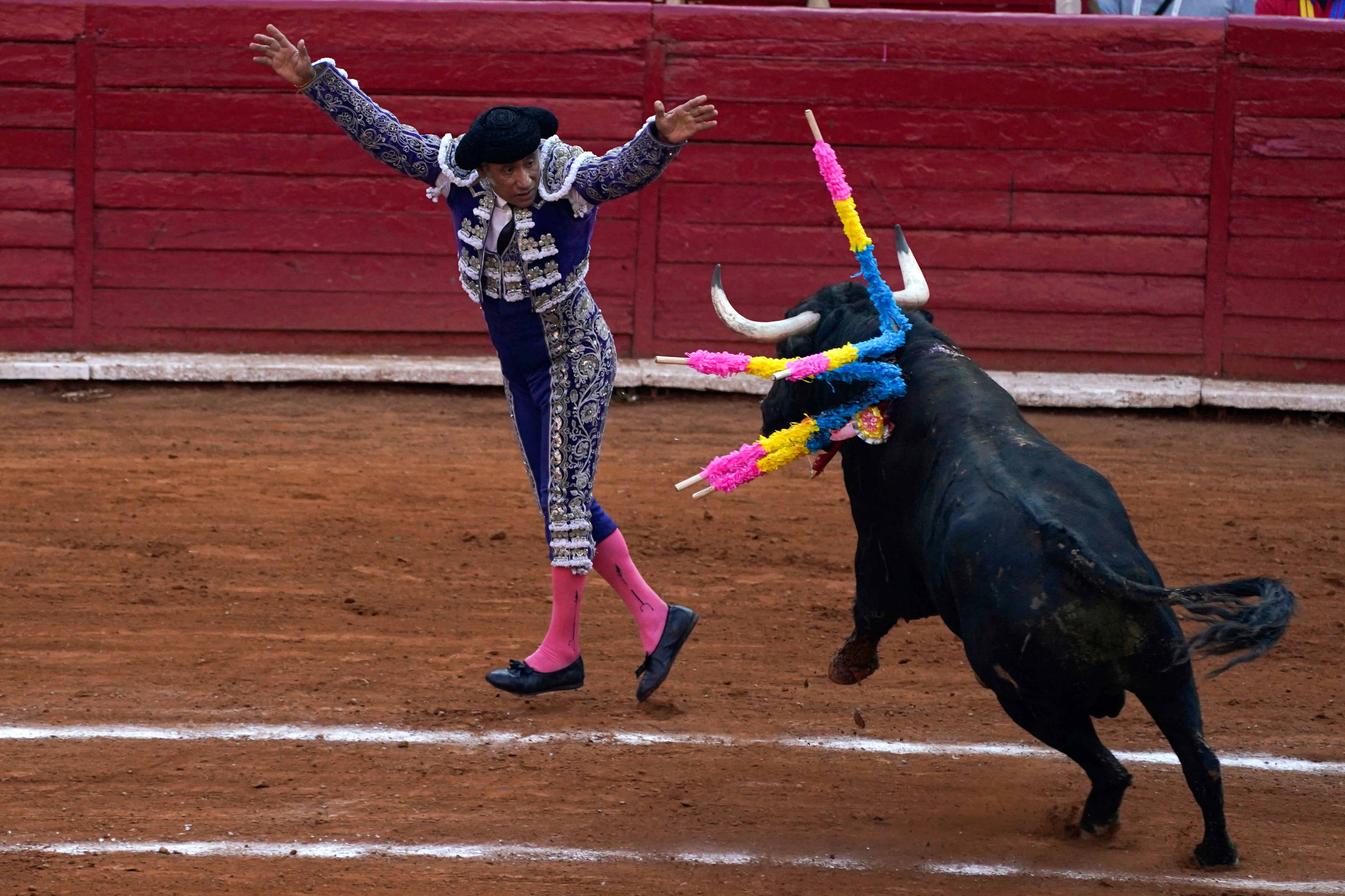 bull fighting