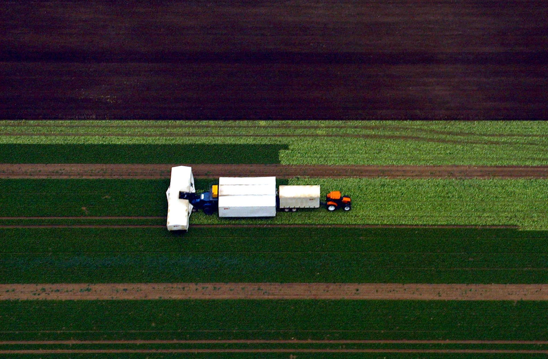 The National Farmers Union says the Government has “stripped to the bone” proposals from the review into England’s food system ahead of the expected release of a new food strategy on Monday (Andrew Parsons/PA)