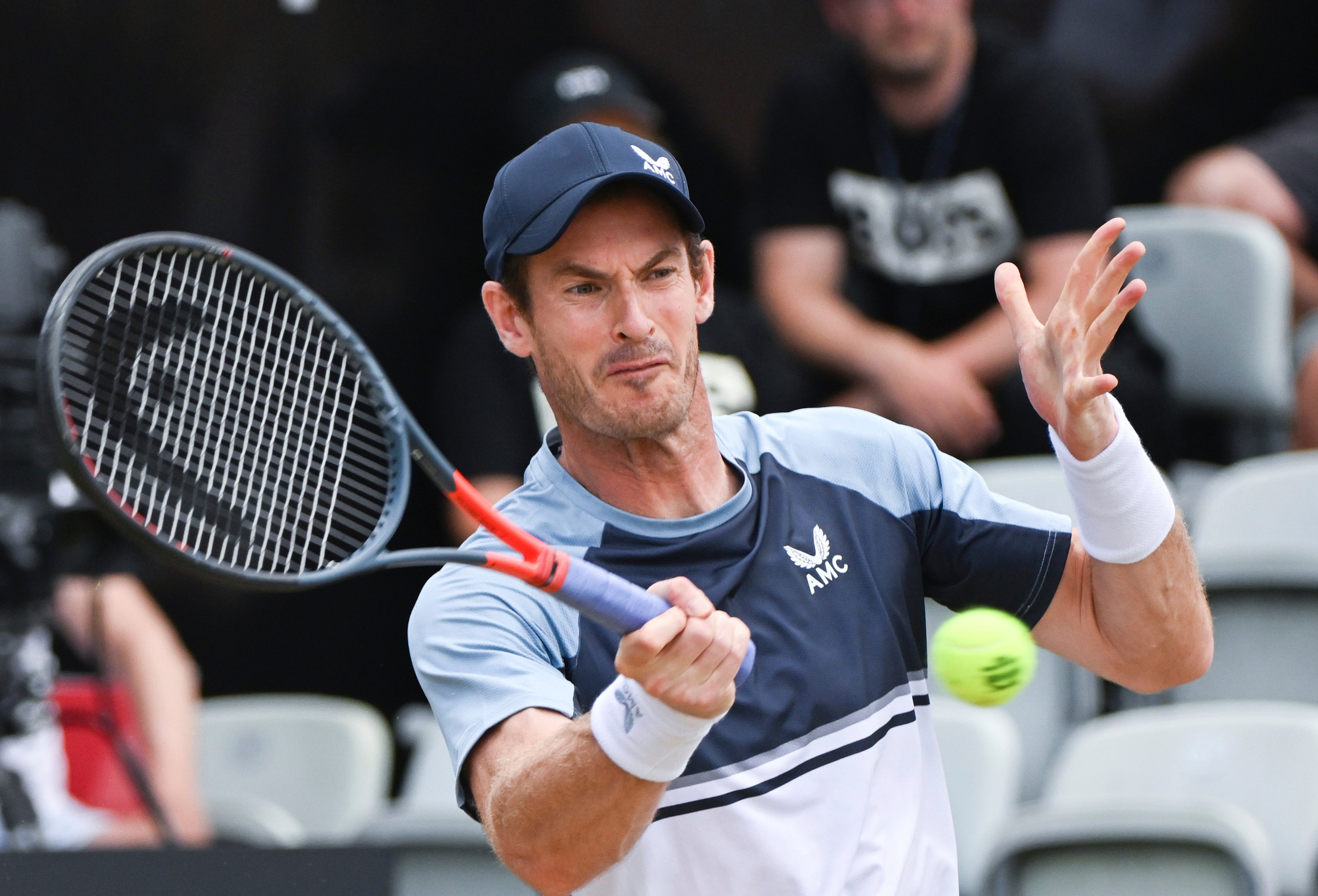 Andy Murray beaten by Matteo Berrettini in epic Stuttgart Open final The Independent