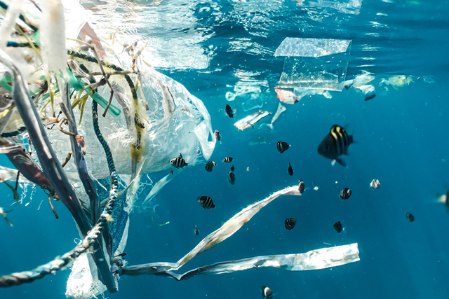 <p>File image: Canadians toss out up to 15 billion plastic checkout bags every year and use approximately 16 million straws daily, the government said </p>