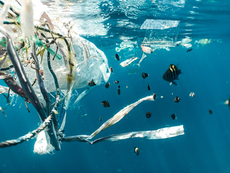 Ocean plastic pollution could be source of new antibiotics, study suggests