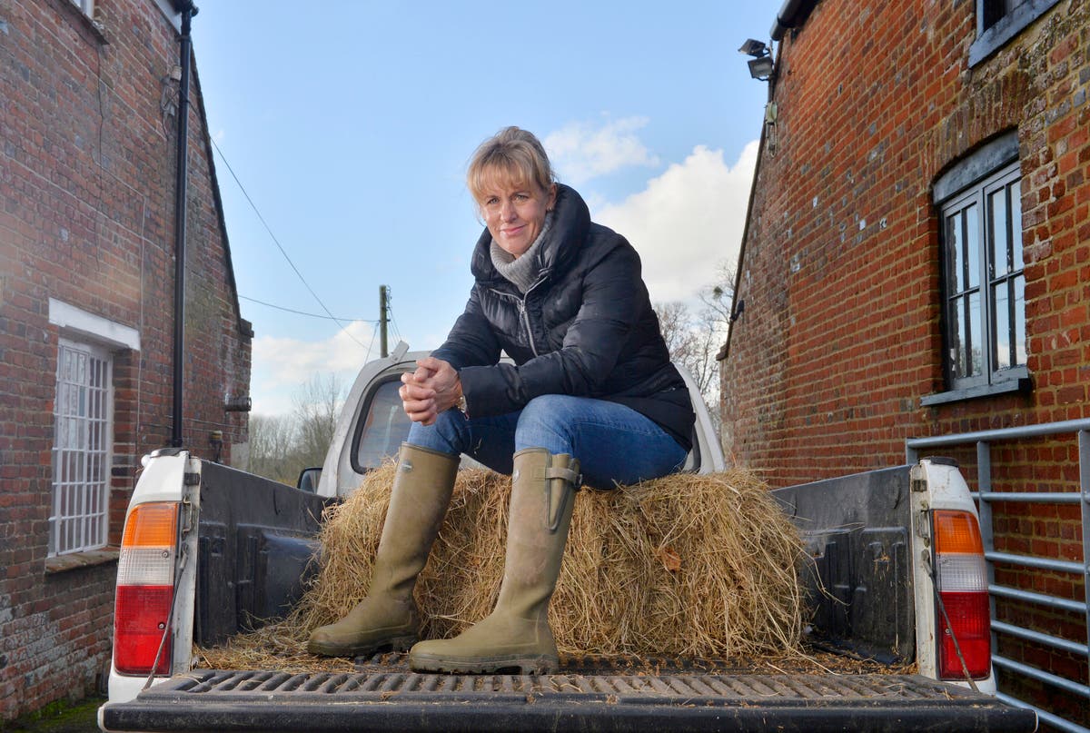 Crops being wasted on British farms despite food bank woes, industry boss says