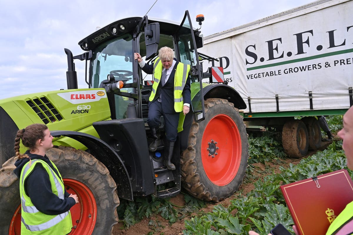 Boris Johnson’s shambolic food strategy has rightly been attacked from all sides