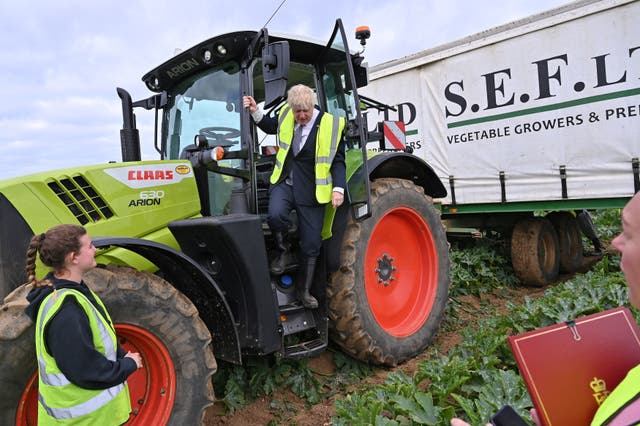 <p>The new food strategy has been declared unfit for purpose by the government’s own lead advisior </p>