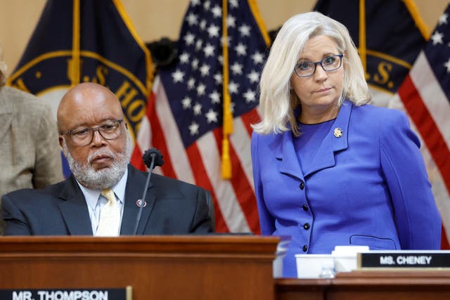 <p>Jan 6 committee chair Bennie Thompson and vice chair Liz Cheney</p>