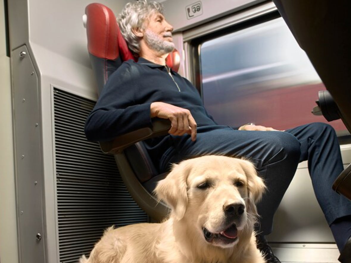 Paws for thought: the space reserved for dogs (at nearly half the adult fare) on Italian trains
