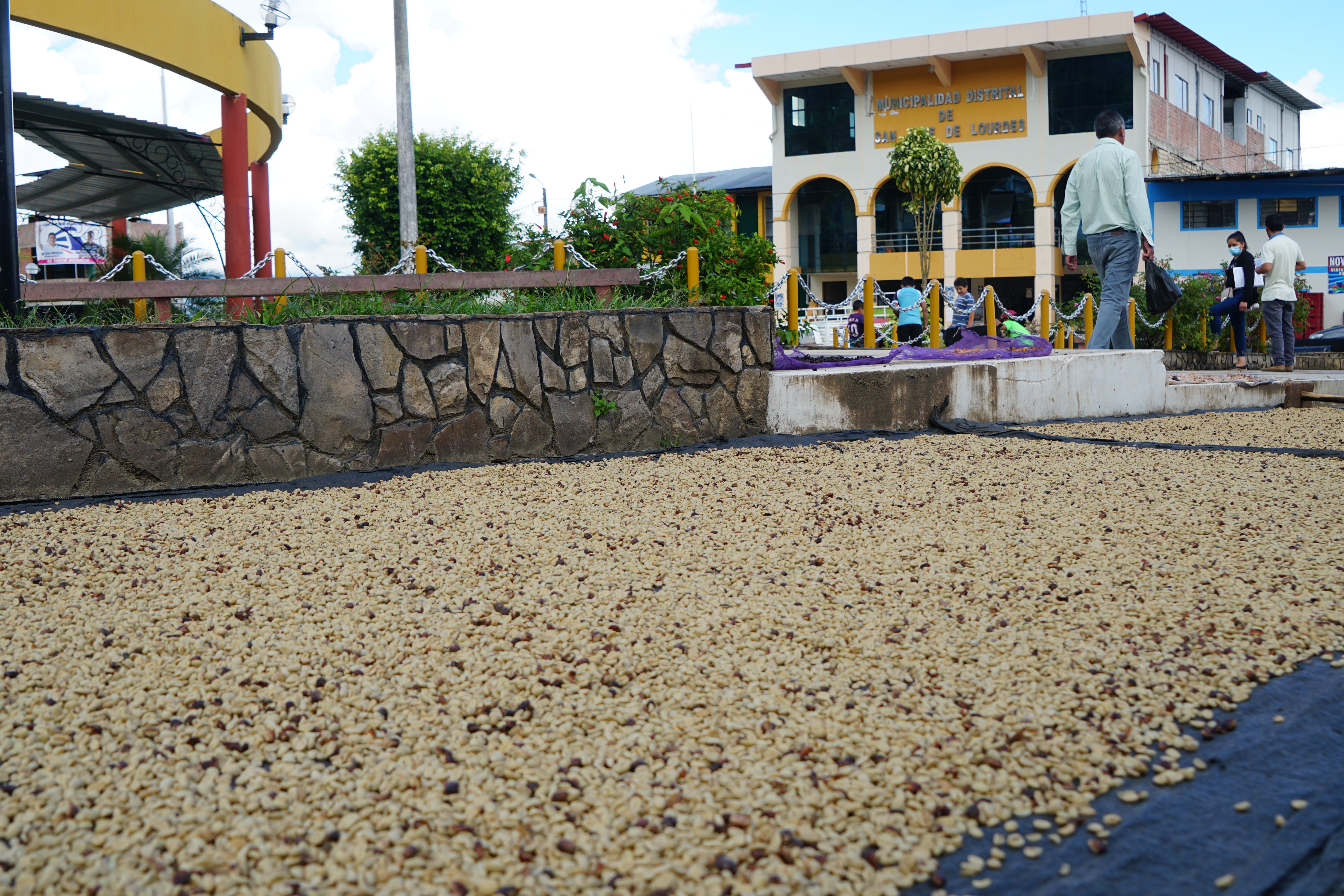 The town’s coffee industry was hit hard by the pandemic