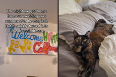 Woman reveals how friends decorated her home with flowers that accidentally poisoned her cat