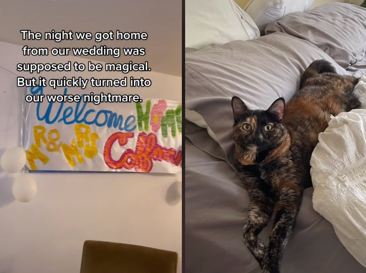 Woman reveals how friends decorated her home with flowers that accidentally poisoned her cat