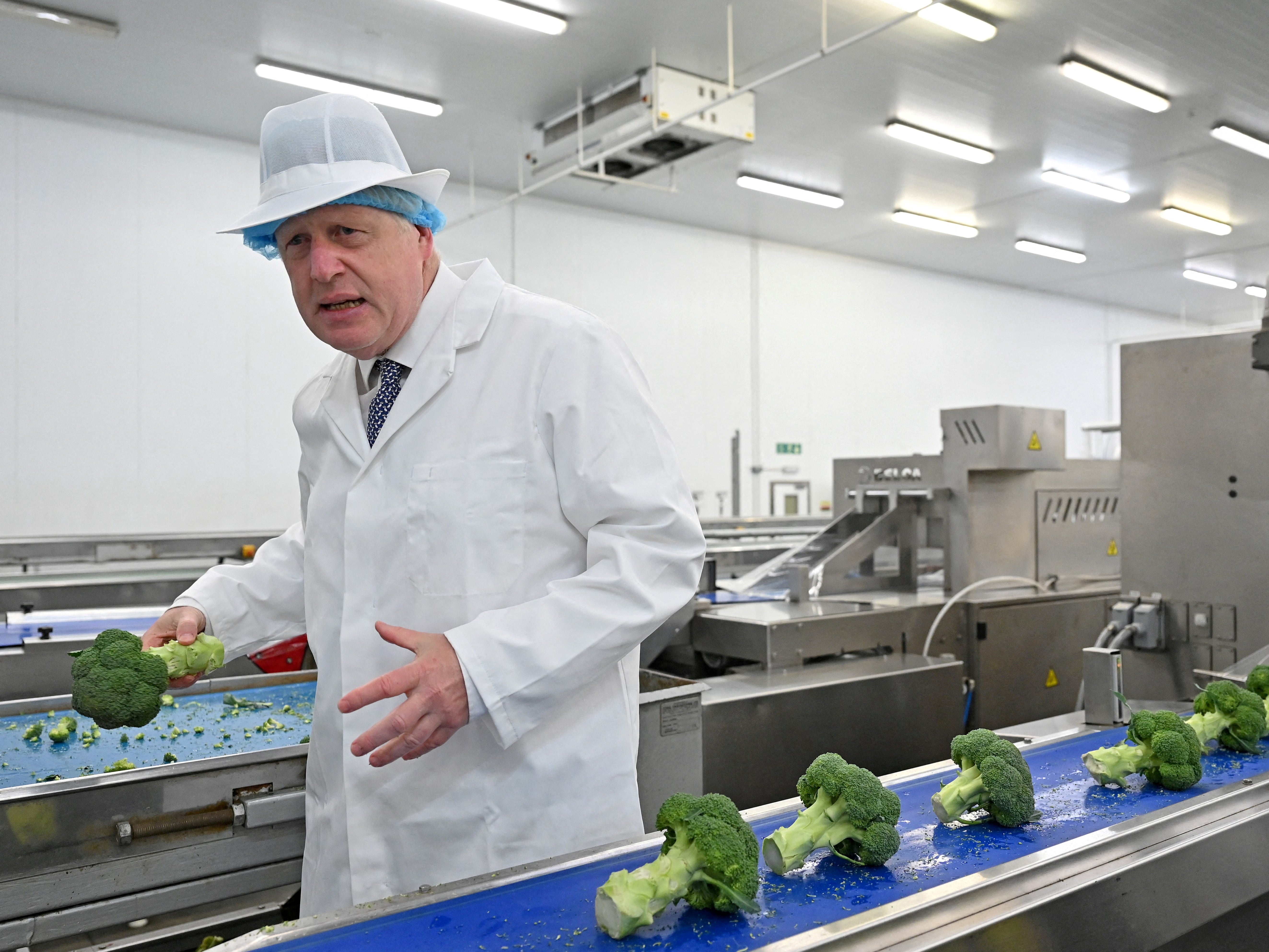 Boris Johnson’s food strategy has been widely criticised