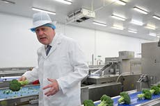 What is the government’s food strategy and why is it under fire?