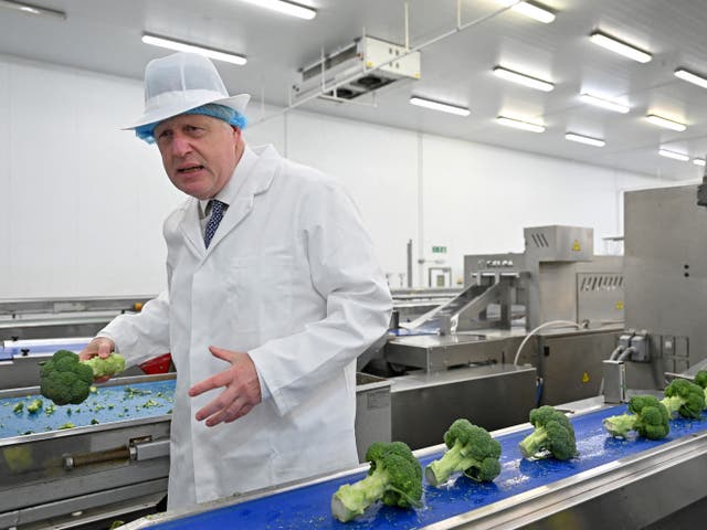 <p>Boris Johnson’s food strategy has been widely criticised </p>