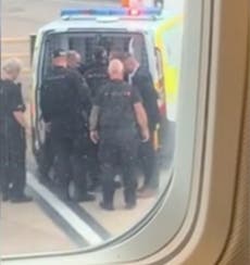 ‘Hammered’ passenger dragged off Ryanair flight by police for vaping
