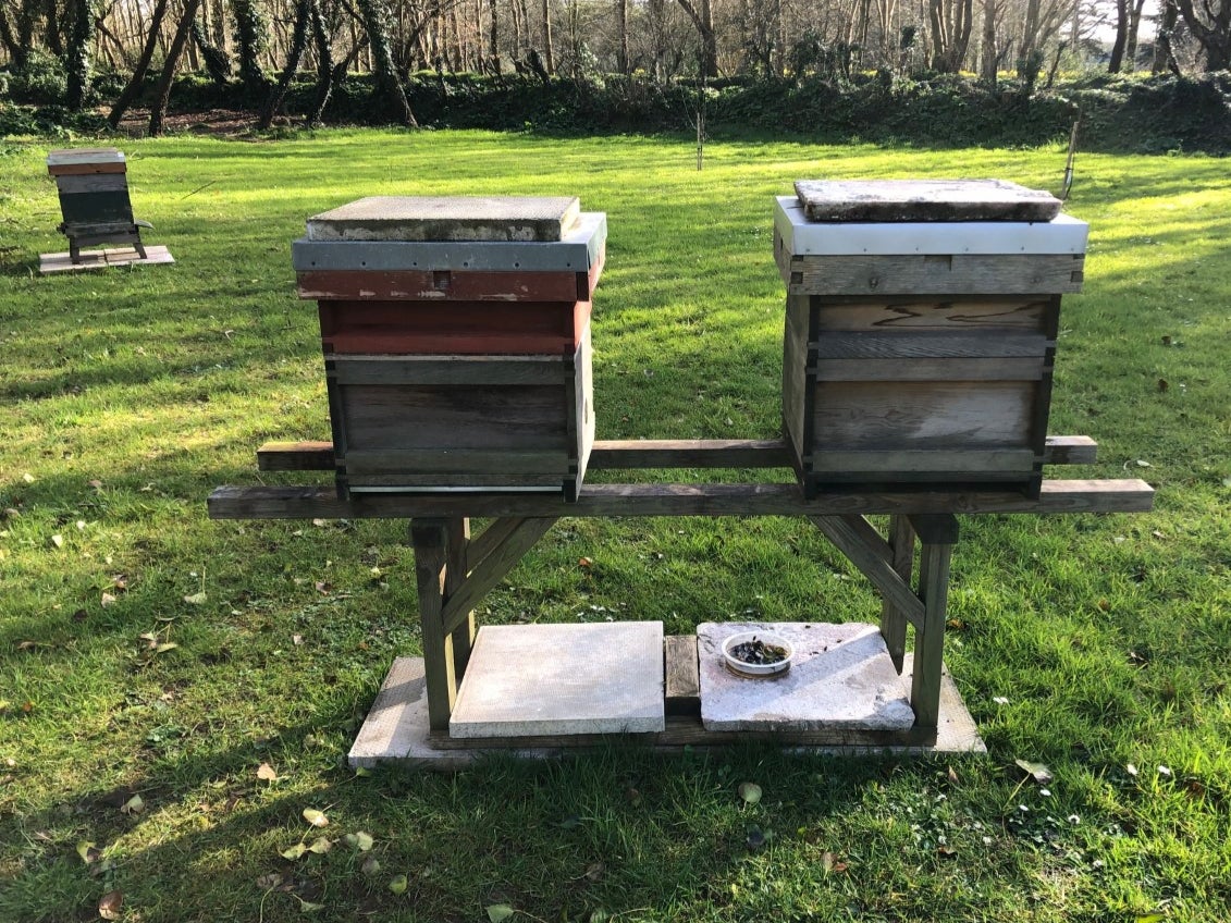 All that was left of the beekeeping set-up was muddy tyre tracks, owners said