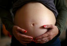 Womb transplants are safe and effective, study suggests