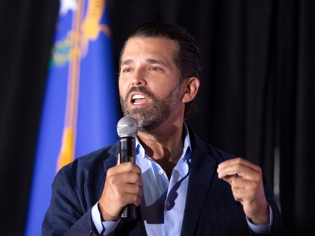 Don Jr mocked for linking Amber Heard and red flag laws in latest jab at actor: ‘What does this even mean?’