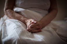 Calls for domestic abuse register to stop ‘chilling’ numbers of women killed by partners