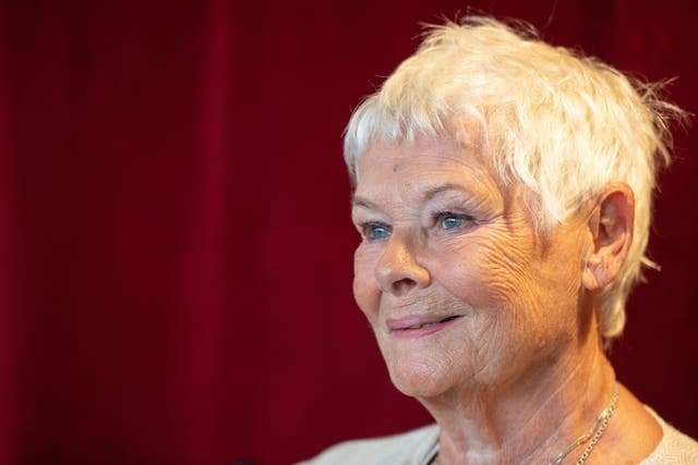 Dame Judi Dench is among those to have backed the letter (Dominic Lipinski/PA)