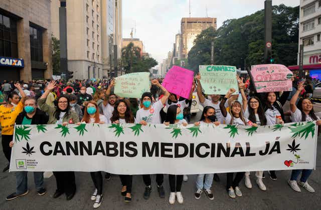 Brazil Marijuana