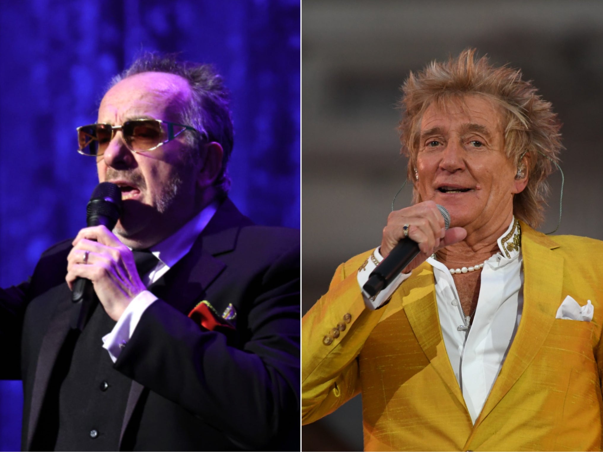 <p>Elvis Costello and Rod Stewart</p>
