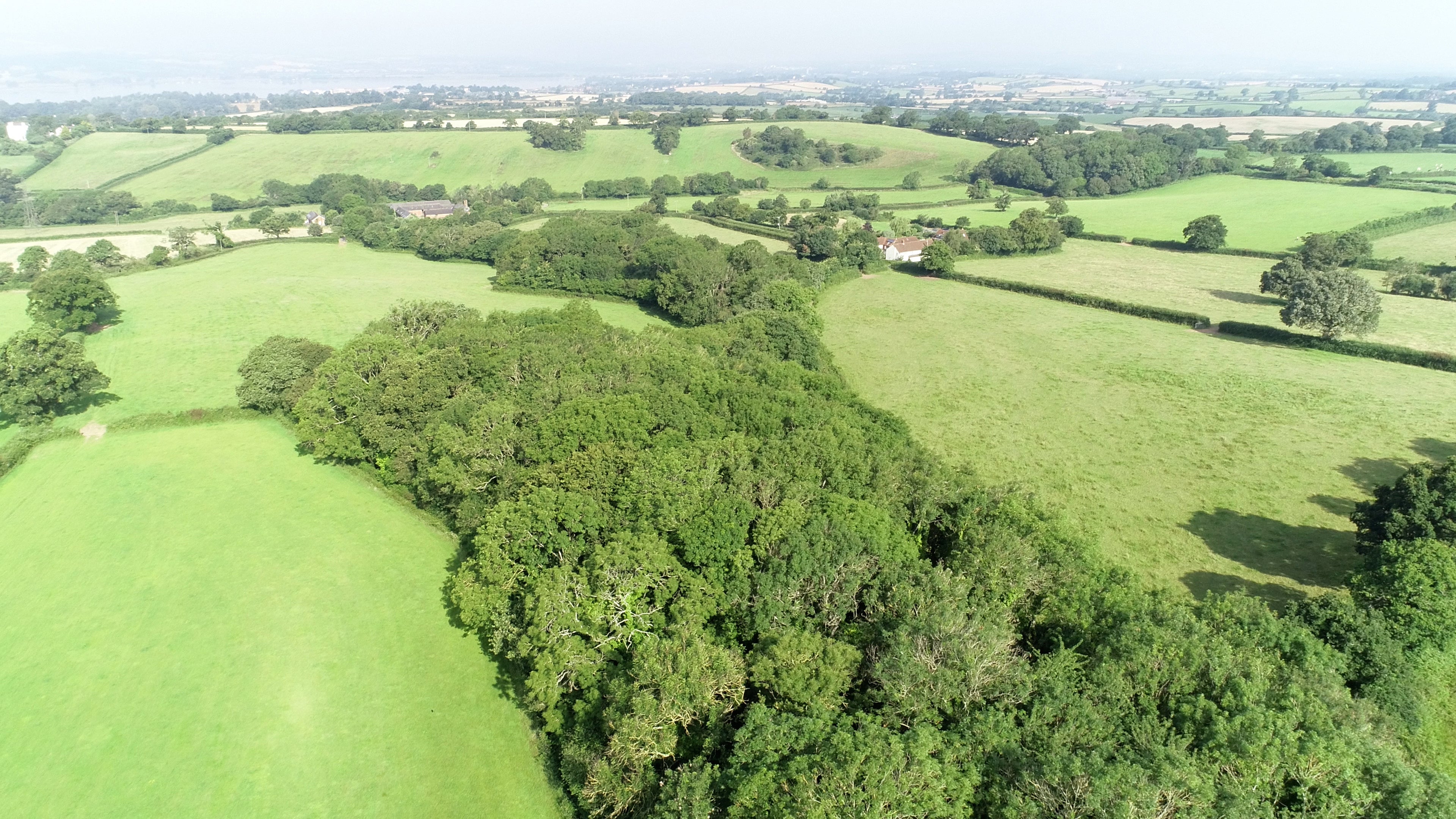 Net zero means a wholesale transformation for the UK, from phasing out boilers in favour of low-carbon technology such as heat pumps, to ending conventional car sales, rolling out electric vehicles and on-street charging points, boosting offshore wind and planting more woodlands (PA)